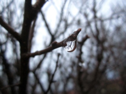 Drop on branch
